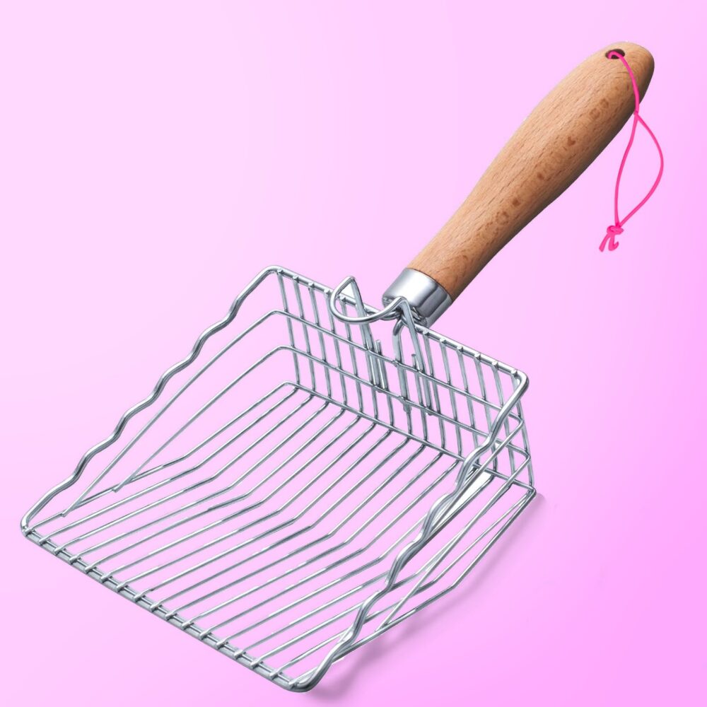 Shop Primary Image