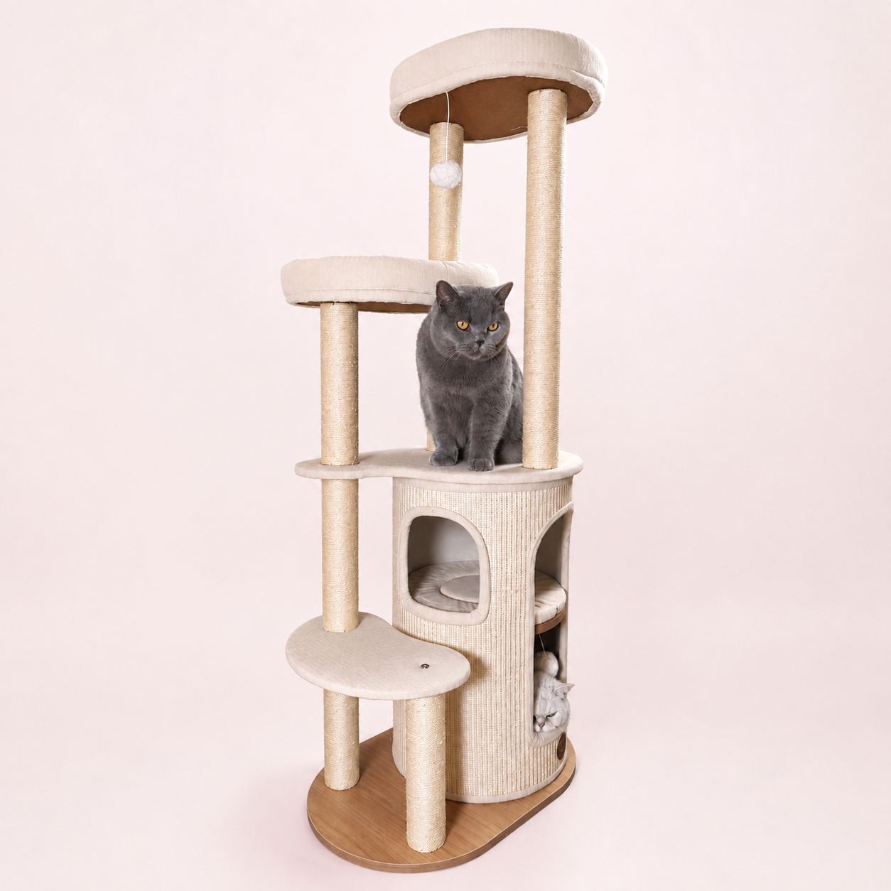 Cat Residence