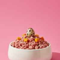 Firefly_GeminiFlash_Premium raw pet food in a ceramic bowl, fresh minced meat with natural texture and qu 358521