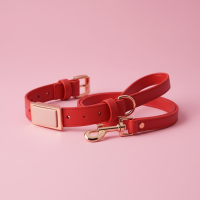 Firefly_GeminiFlash_change the dog collar to red color. 245038